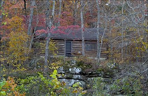 Ozark_fall_foliage_under