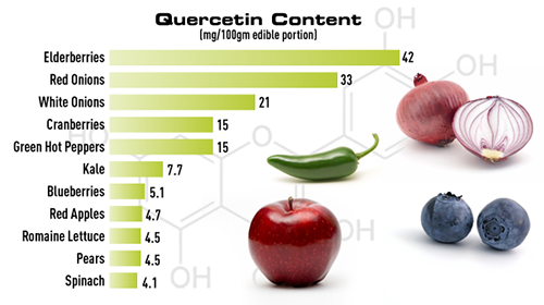 Quercetin-containing Foods