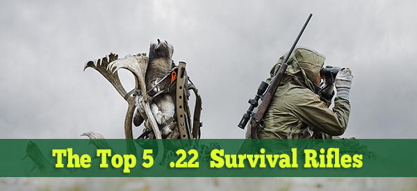 The Top 5 .22 LR Survival Rifles - Ask a Prepper