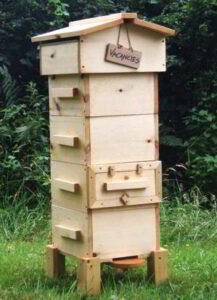 How to Start a Beehive - Ask a Prepper