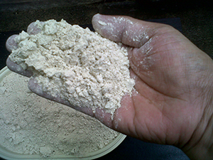 18 Reasons to Stock Diatomaceous Earth for Survival 3