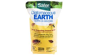 18 Reasons to Stock Diatomaceous Earth for Survival 4