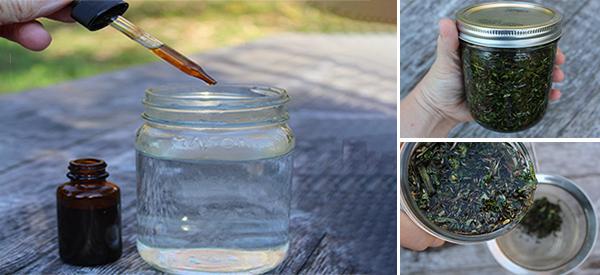 How To Make Herbal Tinctures