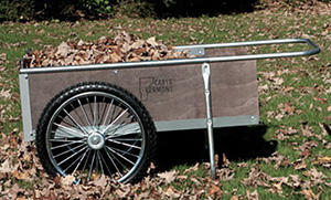 Recumbent Bicycles, Gasoline-Powered Bikes, Electric Bikes, and Other Modes of Moving