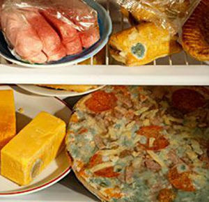 Should You Throw It Out These Moldy Foods Are Still Edible