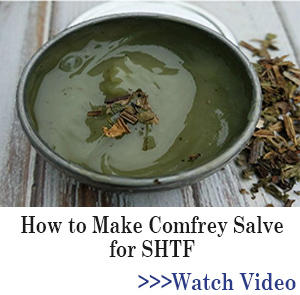 BOR banner comfrey salve