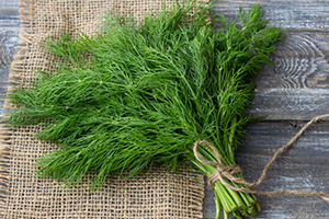 15 Best Herbs for Your Prepper Garden