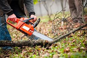 Chainsaw - 26 Necessary Tools for Off-Grid Living