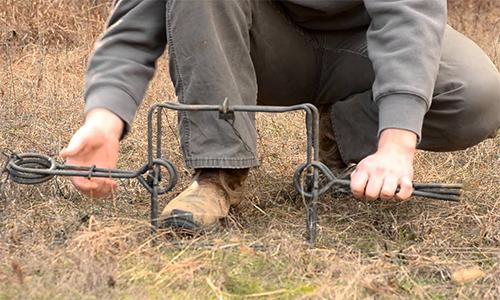 The Easy and Practical DIY Snares to Catch Small Wild Game5