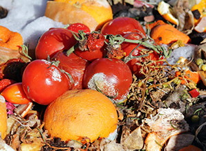 How to Preserve Your Whole Harvest for Winter Without Refrigeration