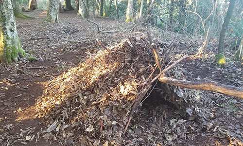 How To Build A Survival Debris Hut 