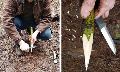 DIY Punji Stick Traps To Defend Your Home 