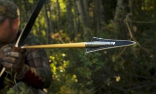 Archery arrows and arrowhead