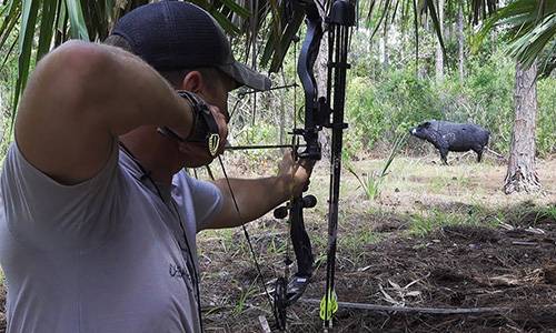 Tactical Archery for Hunting