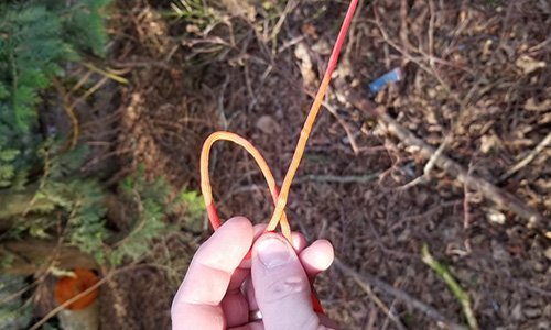 The Only Knot Every Prepper Should Know