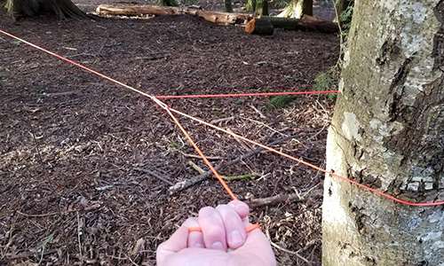 The Only Knot Every Prepper Should Know