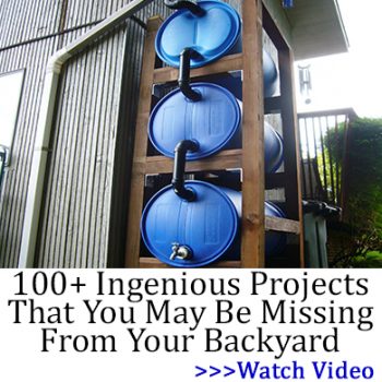 100 plus ingenious projects that you may be missing from your backyard