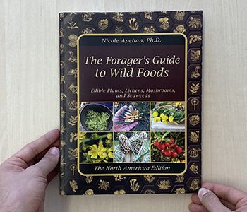 The Forager’s Guide To Wild Foods Book Review