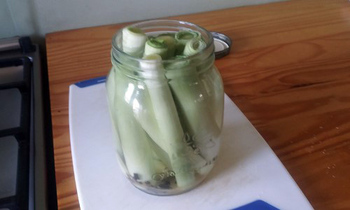 How To Pickle Cattails For Long-Term Preservation 