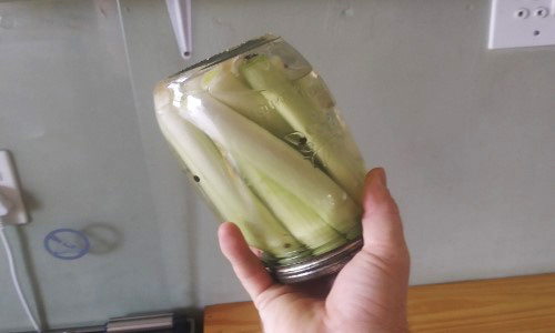 How To Pickle Cattails For Long-Term Preservation 