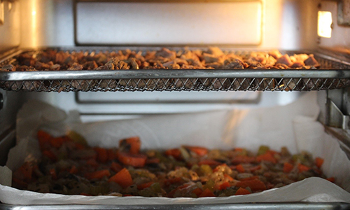 dehydrator/oven