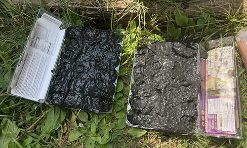 DIY Charcoal Briquettes Every Prepper Should Have In Case Of An Emergency 