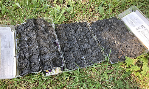 DIY Charcoal Briquettes Every Prepper Should Have In Case Of An Emergency 