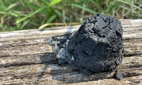 DIY Charcoal Briquettes Every Prepper Should Have In Case Of An Emergency 