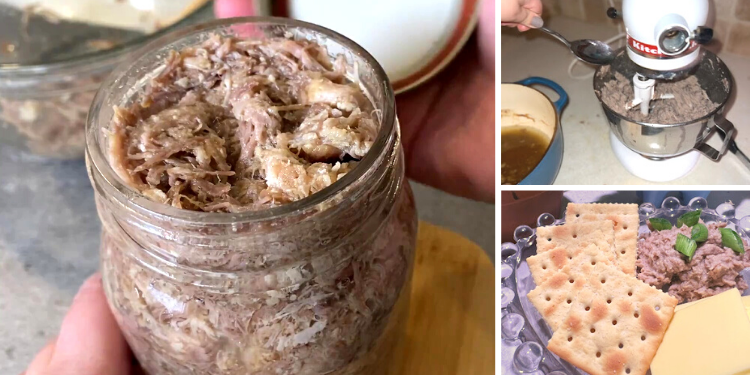 How To Make A Long Lasting Pork Rillette (With Pictures) (5)