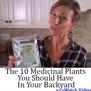 10 Medicinal Plants You Should Have In Your Backyard