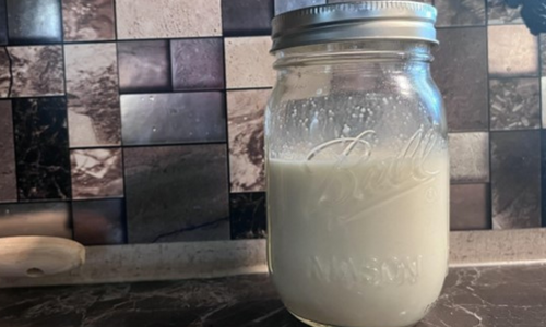 How To Make And Can Evaporated Milk