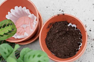 30 Survival Uses For Coffee Filters