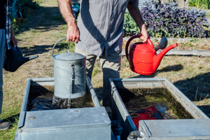 Why You Need To Hide Your Harvested Rainwater