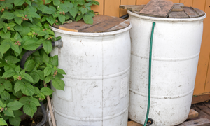 Why You Need To Hide Your Harvested Rainwater