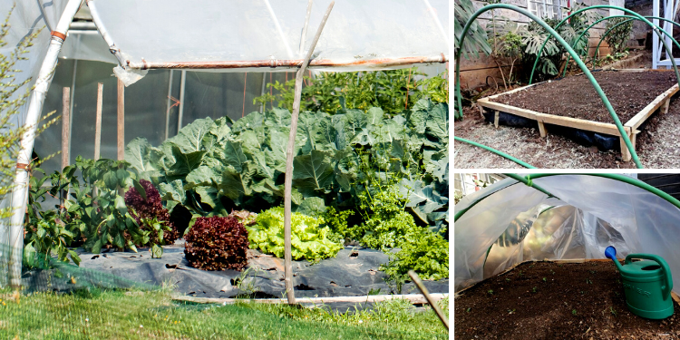 DIY Poor Man’s Greenhouse – Ask a Prepper