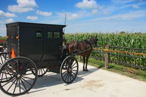 I Visited An Amish Farm And This Happened