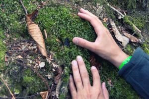 Ingenious Ways to Purify Water in the Wild