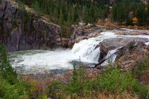 Ingenious Ways to Purify Water in the Wild