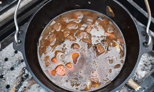 Post-Apocalyptic Stew - French carbonade