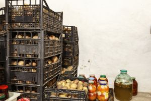 What No One Told You About Your Root Cellar 