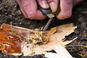 These Bushcraft Items Will Disappear First in a Crisis