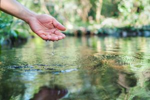 These States Will Punish You for Harvesting Rainwater