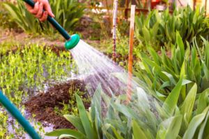 These States Will Punish You for Harvesting Rainwater