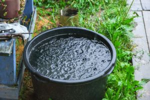 These States Will Punish You for Harvesting Rainwater