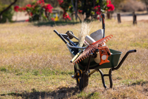 6 Prepping Items the Amish NEVER Stockpile