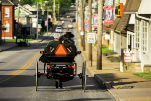 6 Prepping Items the Amish NEVER Stockpile 