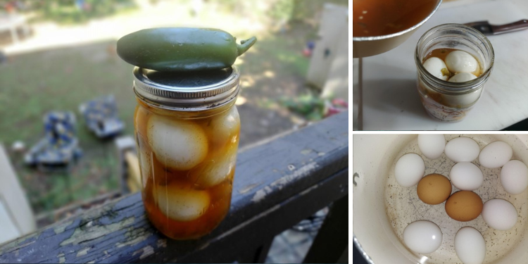 Cowboy Candy Pickled Eggs – Ask a Prepper