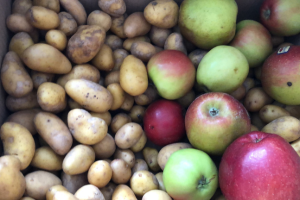 The Amish Never Store These Foods in The Root Cellar 